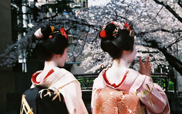 Walk among the Cherry Blossoms! Evening Tour in Kyoto